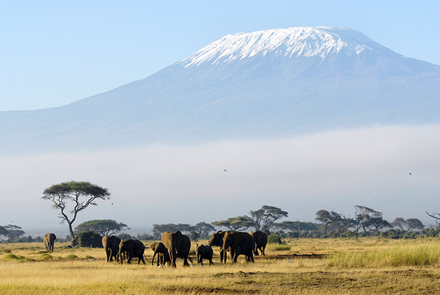 Climb Mt. Kilimanjaro