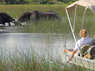A Day In The Chobe