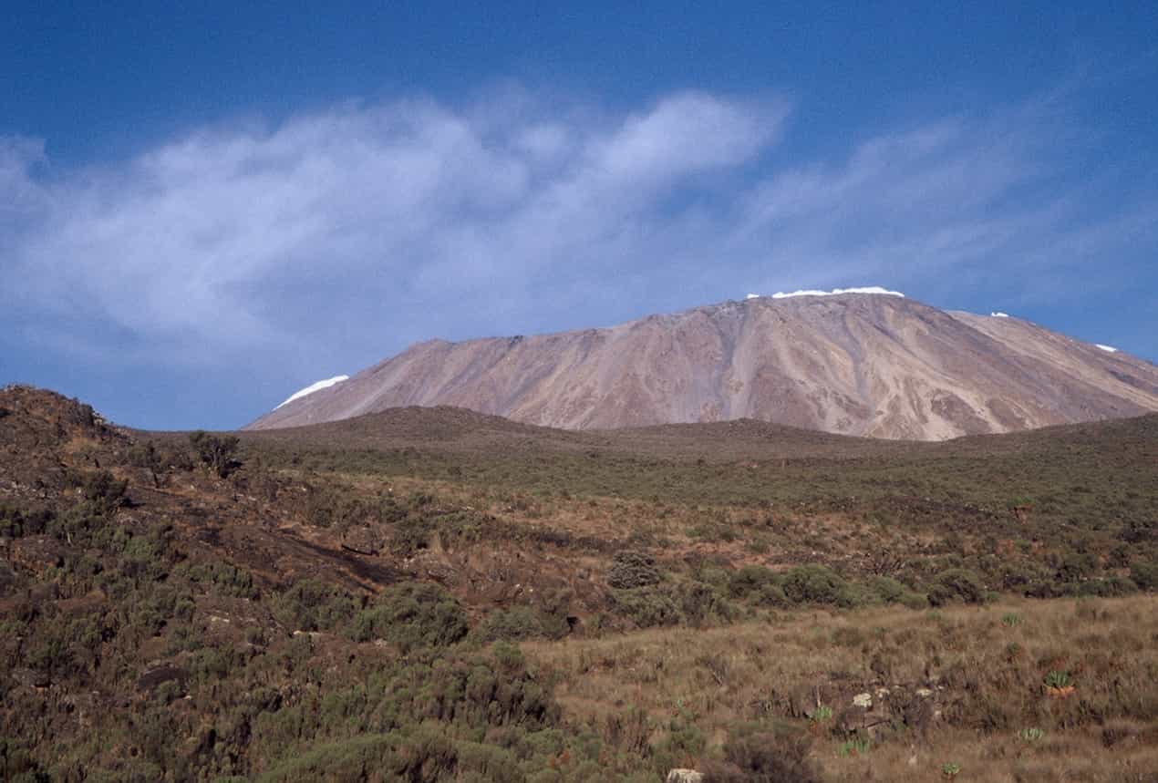 Climb Mt. Kilimanjaro and Celebratory Safari